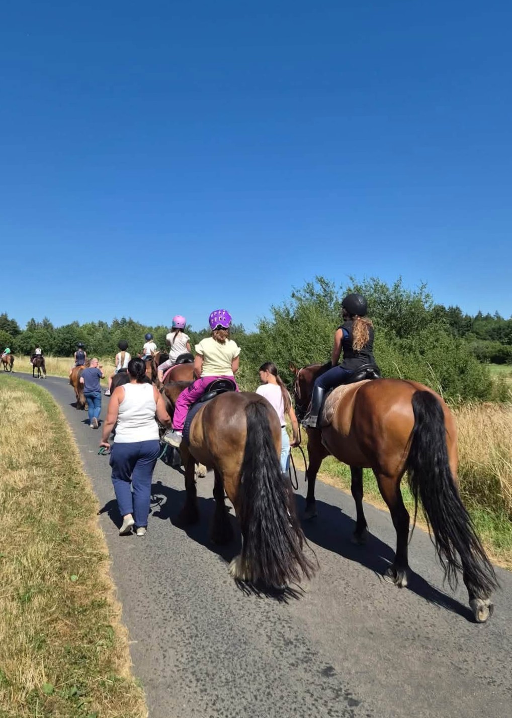 Gebuertsdag bei eis am Reitstall Uewersauer Gebuertsdag bei eis am Reitstall Uewersauer